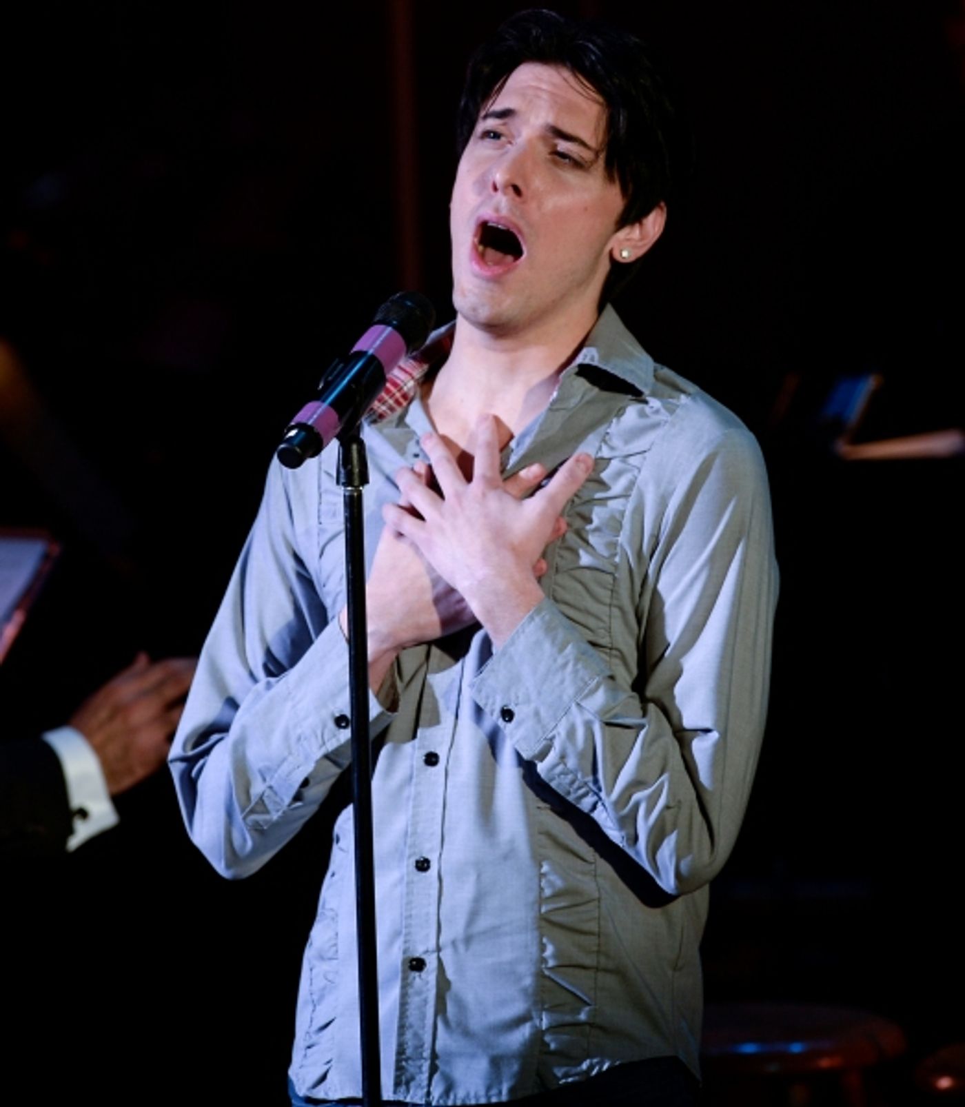 Photo Flash: Nora Mae Lyng, Tari Kelly, David Elder and More in AMERICAN SHOWSTOPPERS:  An Evening with Richard Rodgers  Image