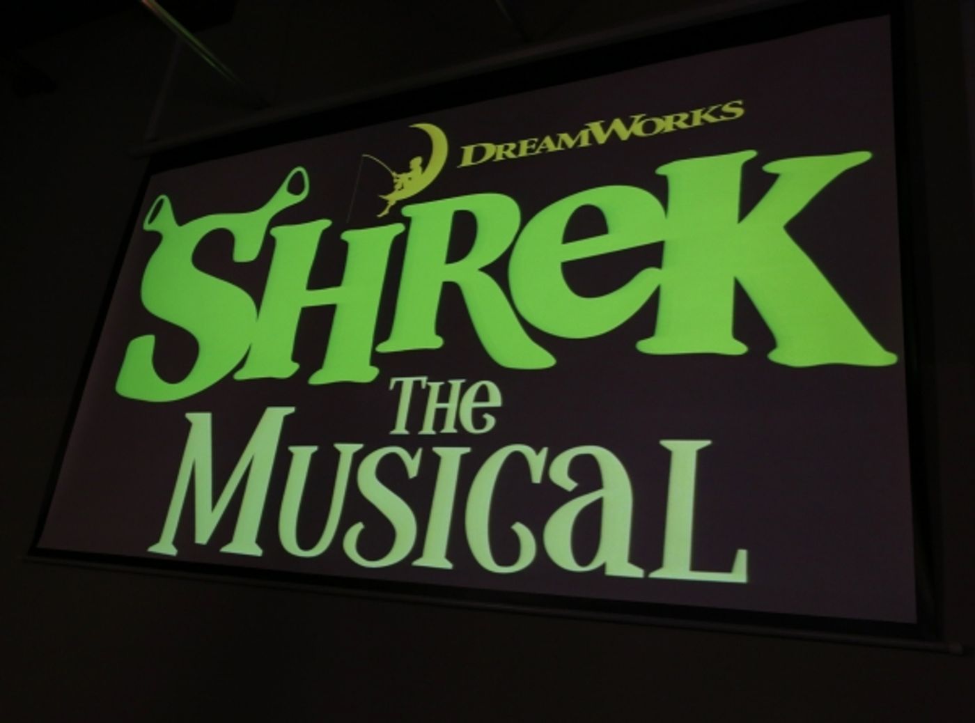 Photo Coverage: On the Red Carpet at the SHREK THE MUSICAL DVD Release Party with Sieber, Foster, Breaker, Tartaglia & More! Image