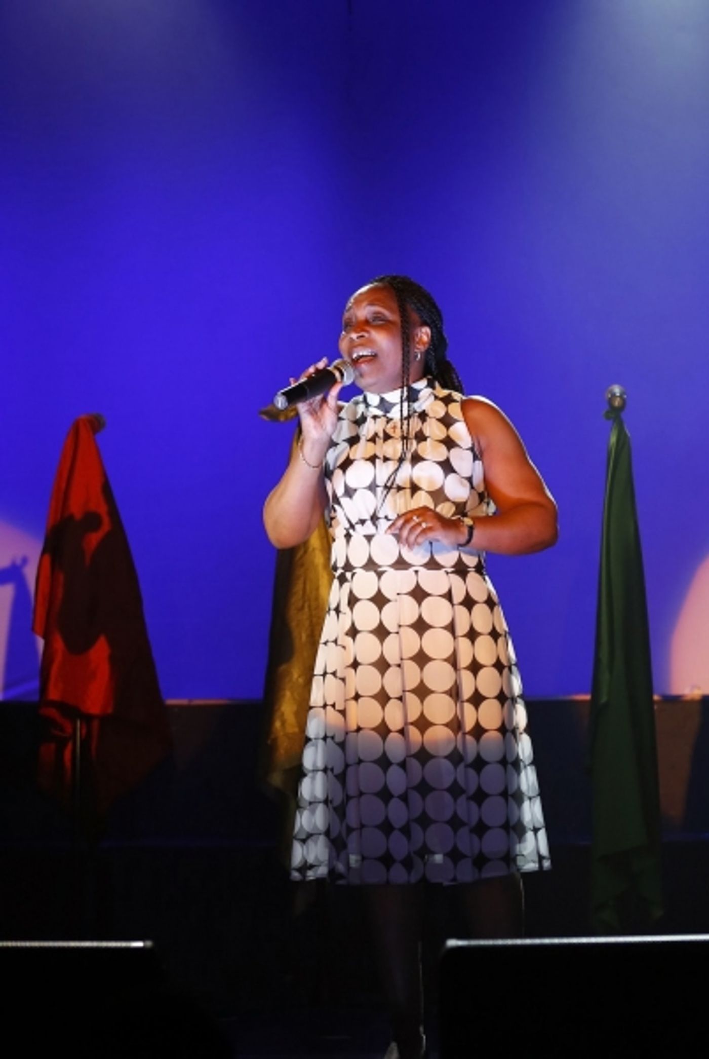 Photo Flash: First Look at The Mama Foundation's ALIVE! Image