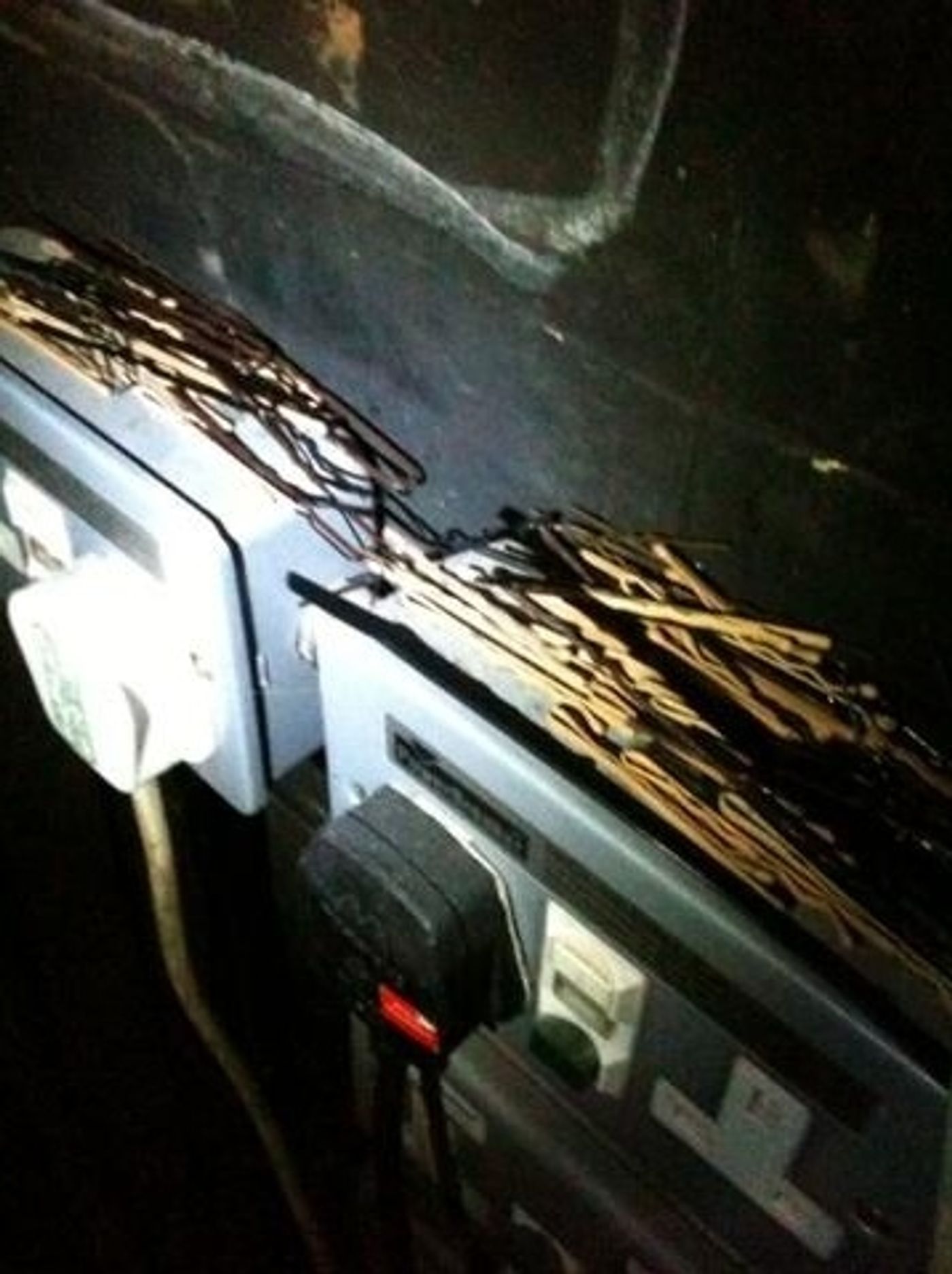 Photo Flash: Saturday Intermission Pics - Oct 19 - Last SIPs - BLUEBIRD OF HAPPINESS in Manila, JUNGLE BOOK and More!  Image