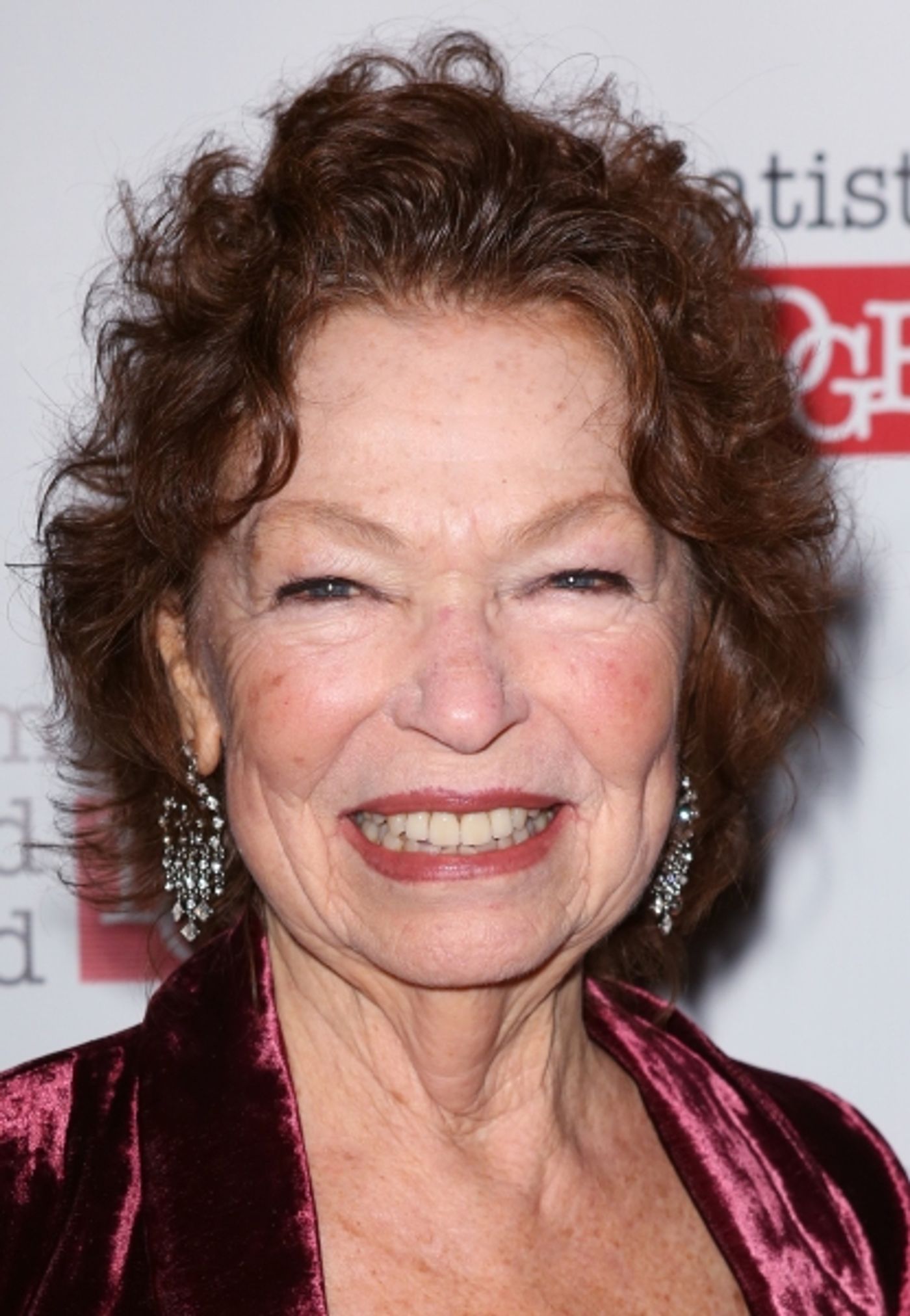 Photo Coverage: On the Red Carpet with Bernadette Peters, Stephen Sondheim & More at the 2013 Dramatists Guild Fund Gala  Image