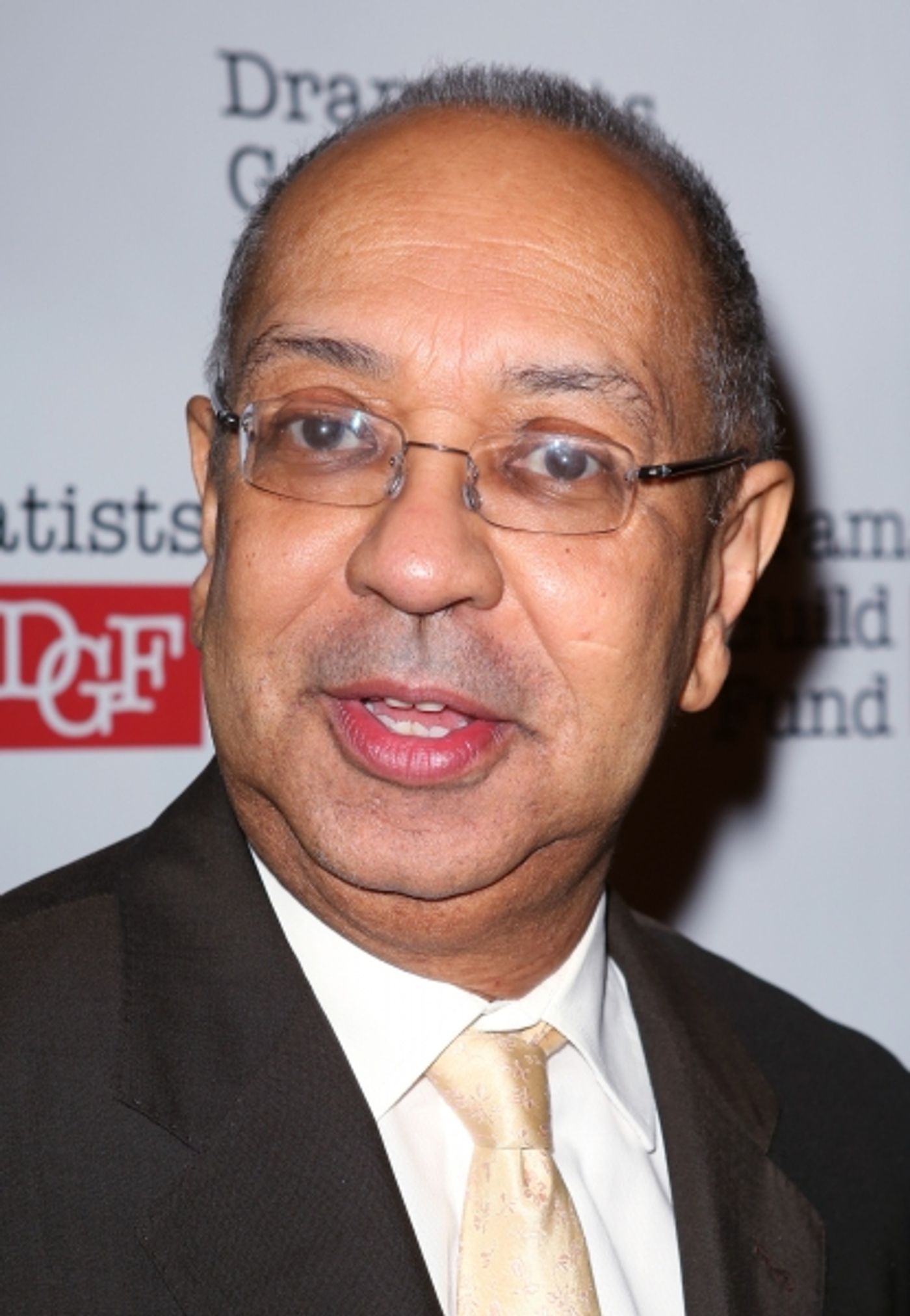 Photo Coverage: On the Red Carpet with Bernadette Peters, Stephen Sondheim & More at the 2013 Dramatists Guild Fund Gala  Image