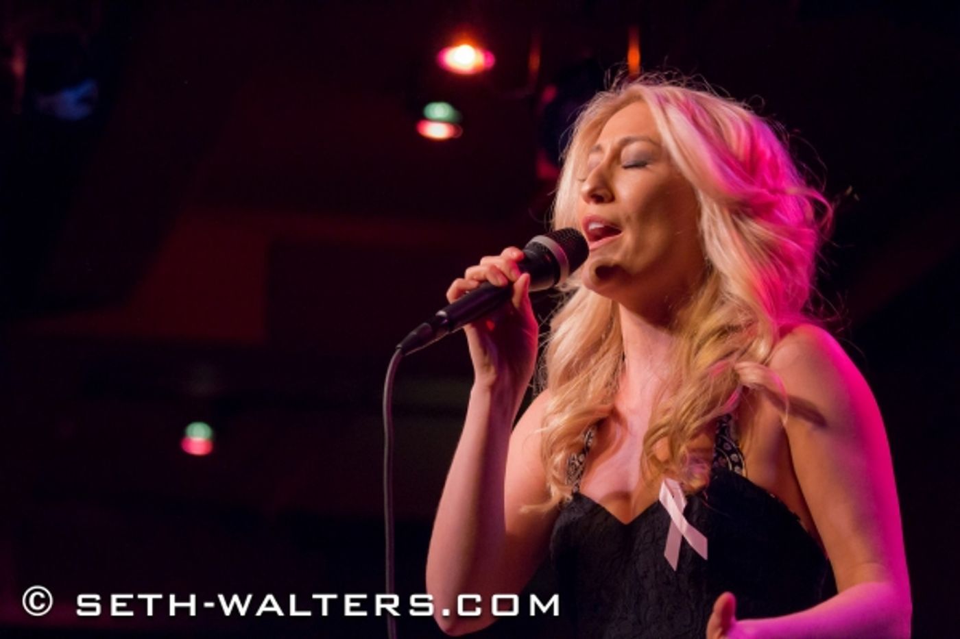 Photo Flash: Lorna Luft, Liza Minnelli, Brian Stokes Mitchell & More Celebrate Second LORNA'S PINK PARTY at Birdland!  Image