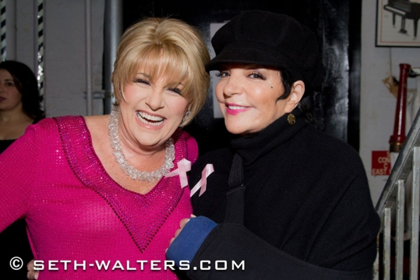 Photo Flash: Lorna Luft, Liza Minnelli, Brian Stokes Mitchell & More Celebrate Second LORNA'S PINK PARTY at Birdland!  Image