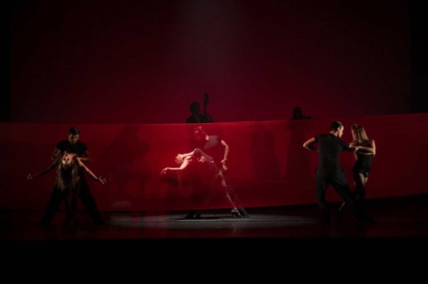 Photos and Video: First Look at TANGO FIRE, Returning to Toronto, Nov 8 Photos and Video: First Look at TANGO FIRE, Returning to Toronto, Nov 8 Image