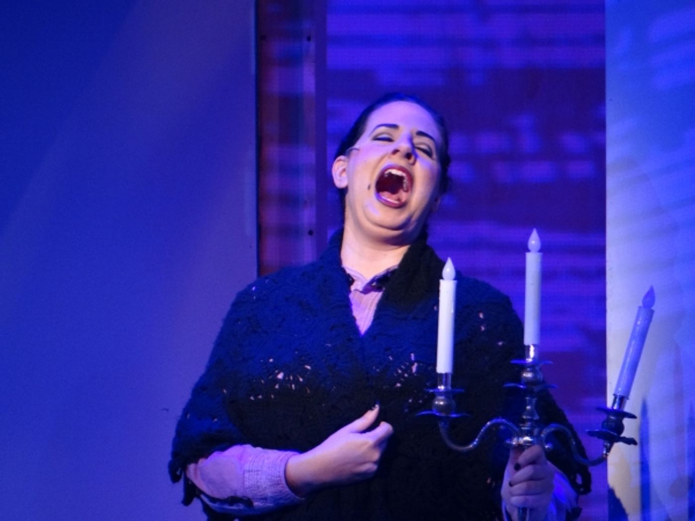 Photo Flash: First Look at YOUNG FRANKENSTEIN at the Manatee Players  Image
