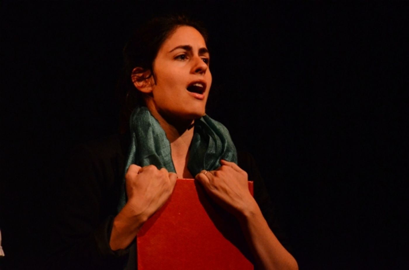 Photo Coverage: Rinaudo. El Amor Tiene Razón  Image