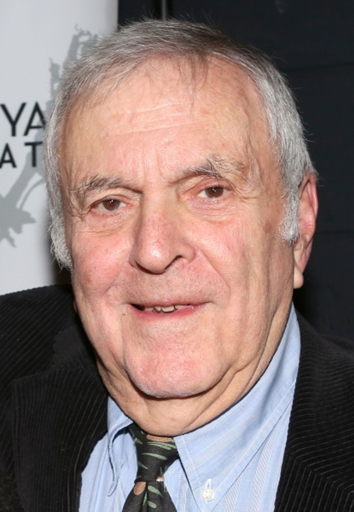 Photo Coverage: On the Red Carpet at THE LANDING Opening Night  Image