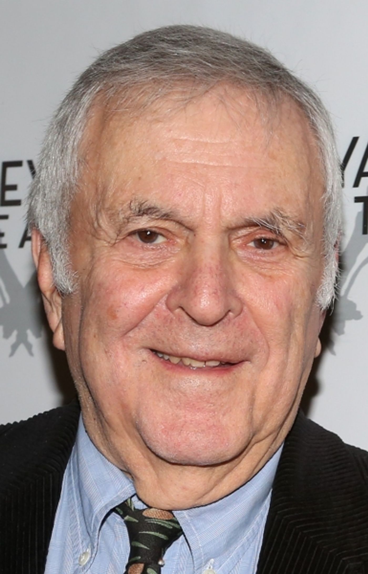 Photo Coverage: On the Red Carpet at THE LANDING Opening Night  Image