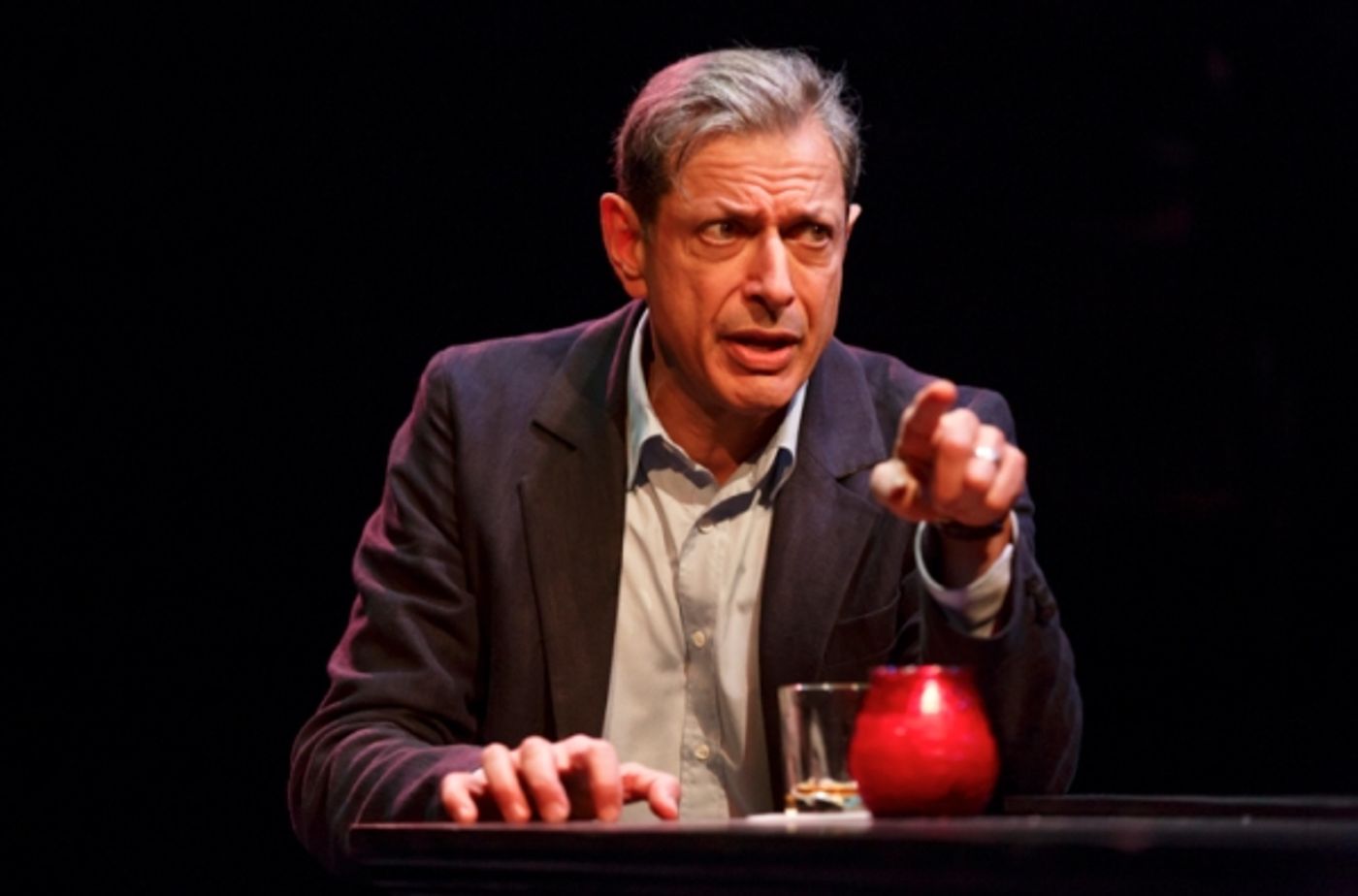 Photo Flash: First Look at DOMESTICATED with Jeff Goldblum & Laurie Metcalf at Lincoln Center Image