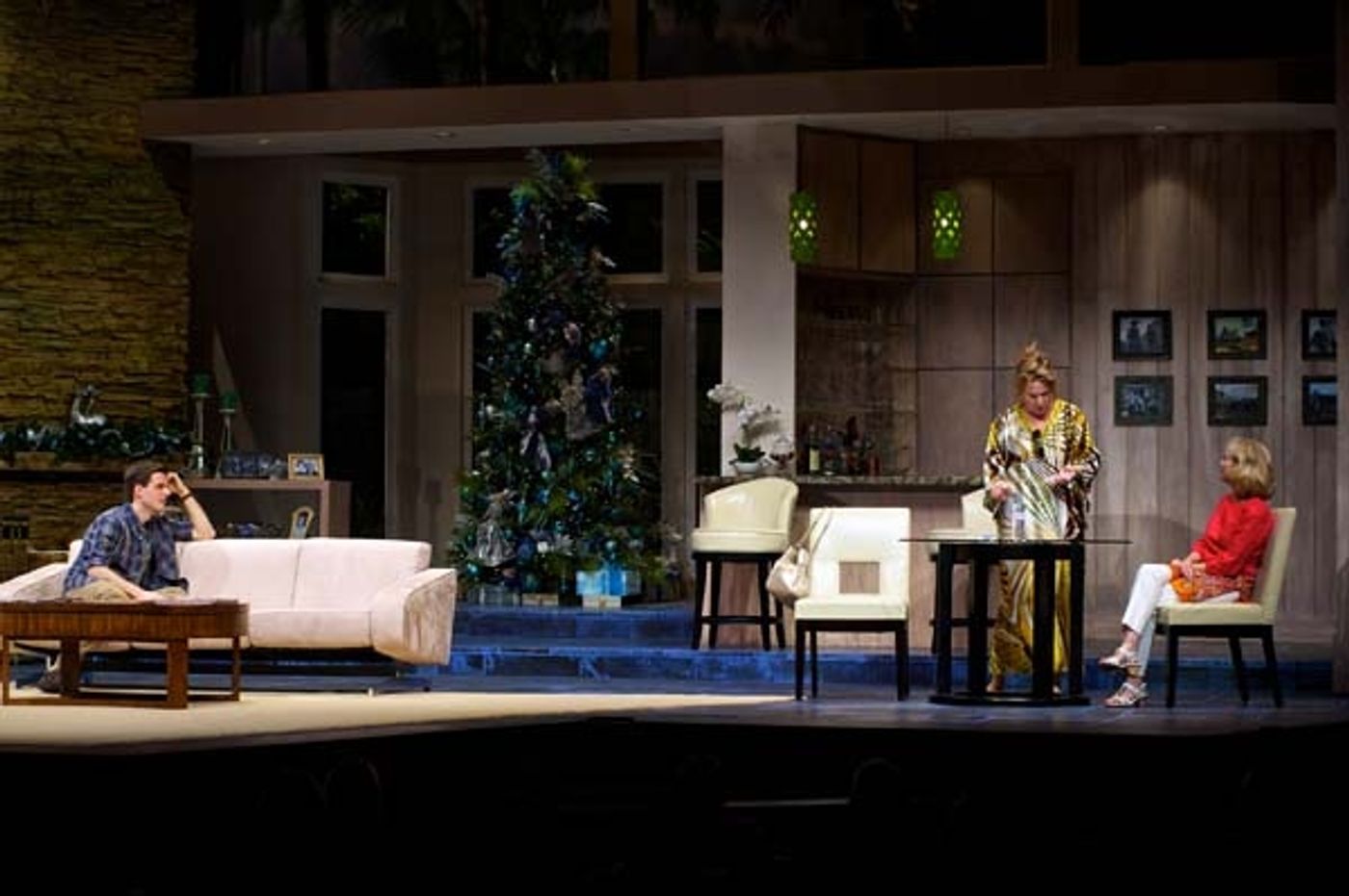Photo Flash: New Production Shots from Pioneer Theatre's OTHER DESERT CITIES  Image