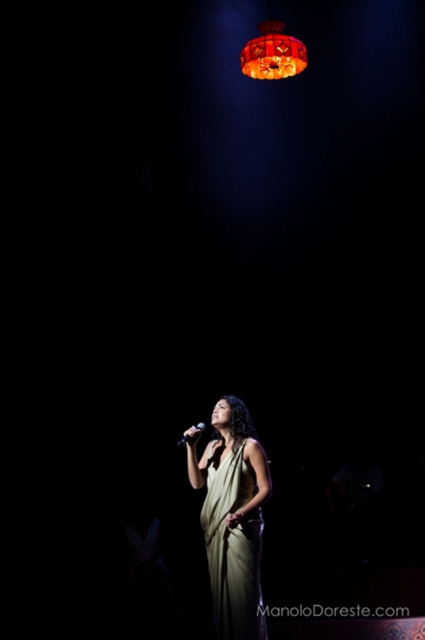 Photo Coverage: Dacal, Olivo, Secada & More Perform at Miami's VIVA BROADWAY Image