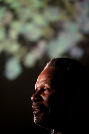 John Douglas Thompson @ BroadwayWorld John Douglas Thompson Photo