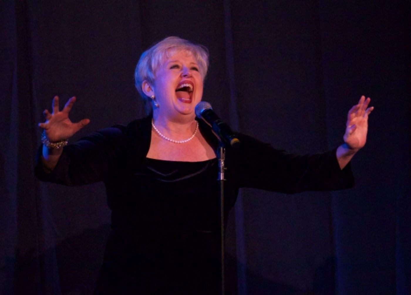 Photo Coverage: Tommy Tune, Barbara Cook & More Salute Sheldon Harnick  Image