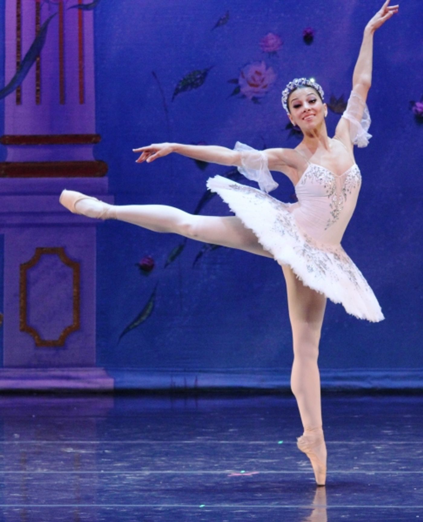 Photo Flash: First Look at Russian Ballet's GREAT RUSSIAN NUTCRACKER  Image