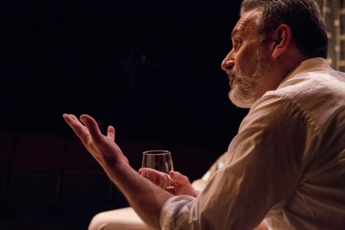 Photo Flash: Spotlighters Theatre's DEATH AND THE MAIDEN, Now Playing Through 11/11  Image