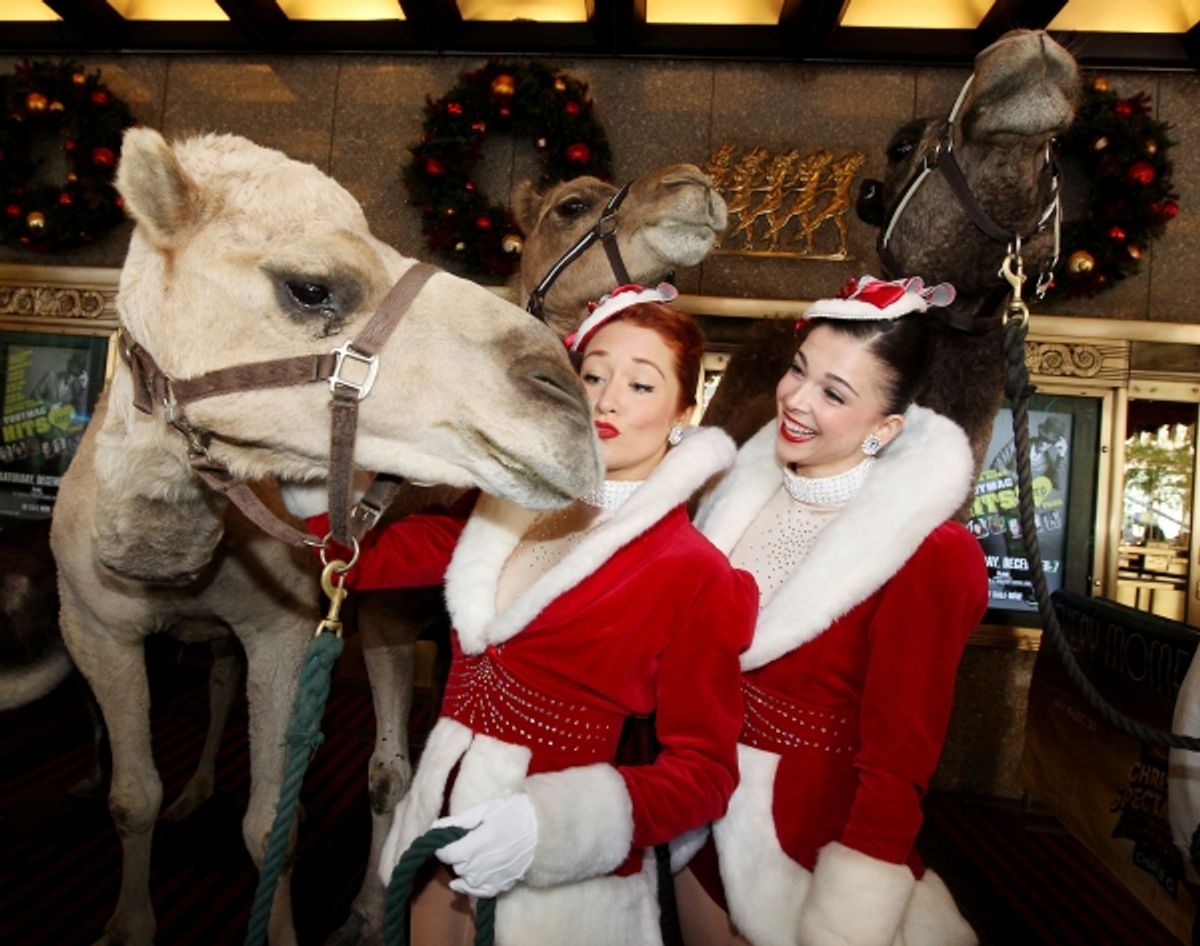 Ted the camel gets a kiss from Rockette Jessica Osbourne on his first day of rehearsals for the 2013 Radio City Christmas Spectacular. at 