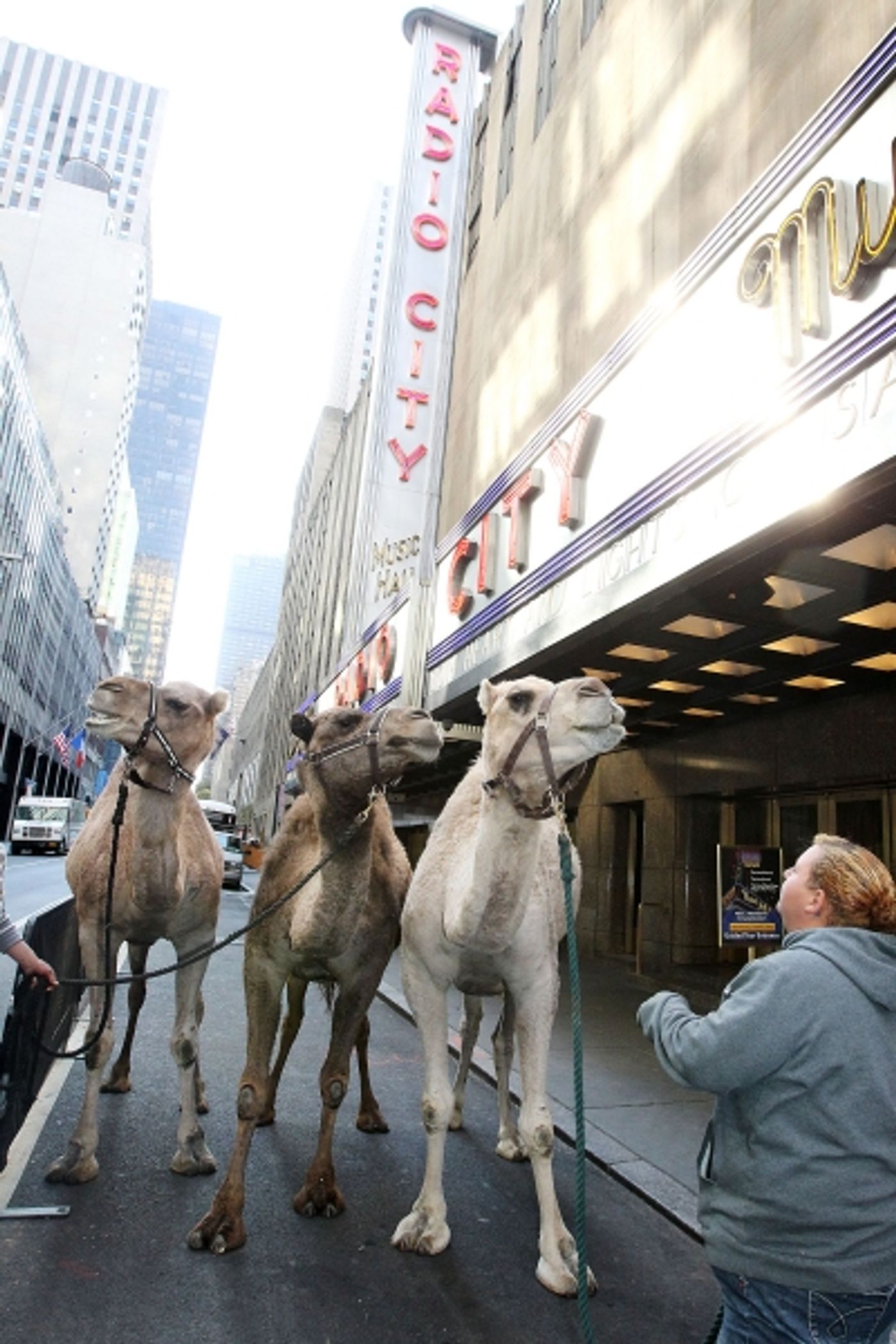 Photo Coverage: Rockettes Welcome Animals on  First Day of Rehearsal  Image