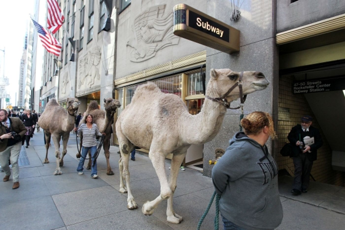 Photo Coverage: Rockettes Welcome Animals on  First Day of Rehearsal  Image