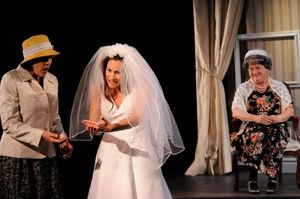 Lisa Rosenhagen, Pamela Vanderpool, Kathryn Gray @ BroadwayWorld Lisa Rosenhagen, Pamela Vanderpool, Kathryn Gray Photo