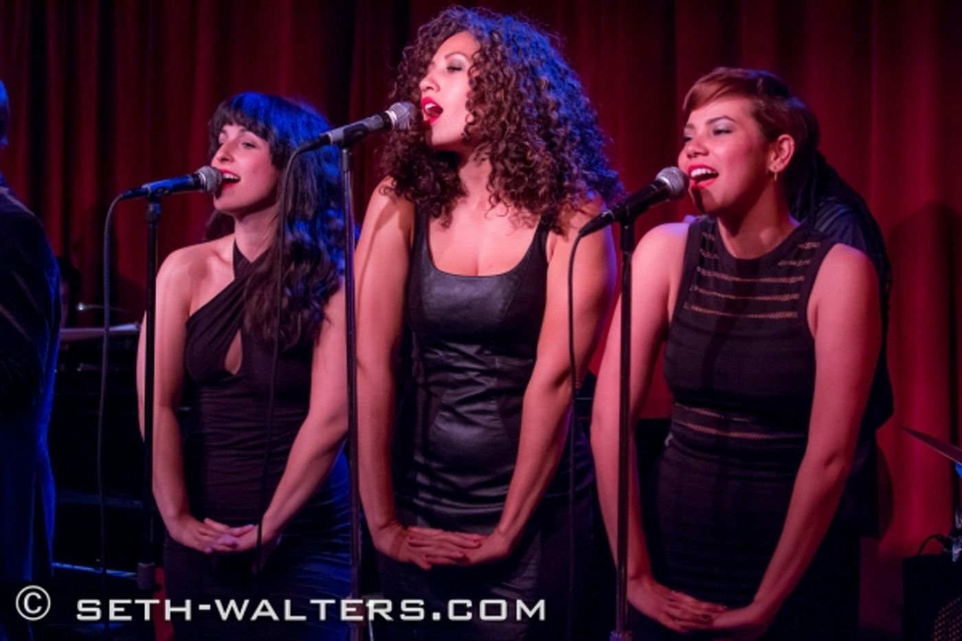 Photo Flash: William Blake and More in ECHOES OF ETTA II at Birdland Image