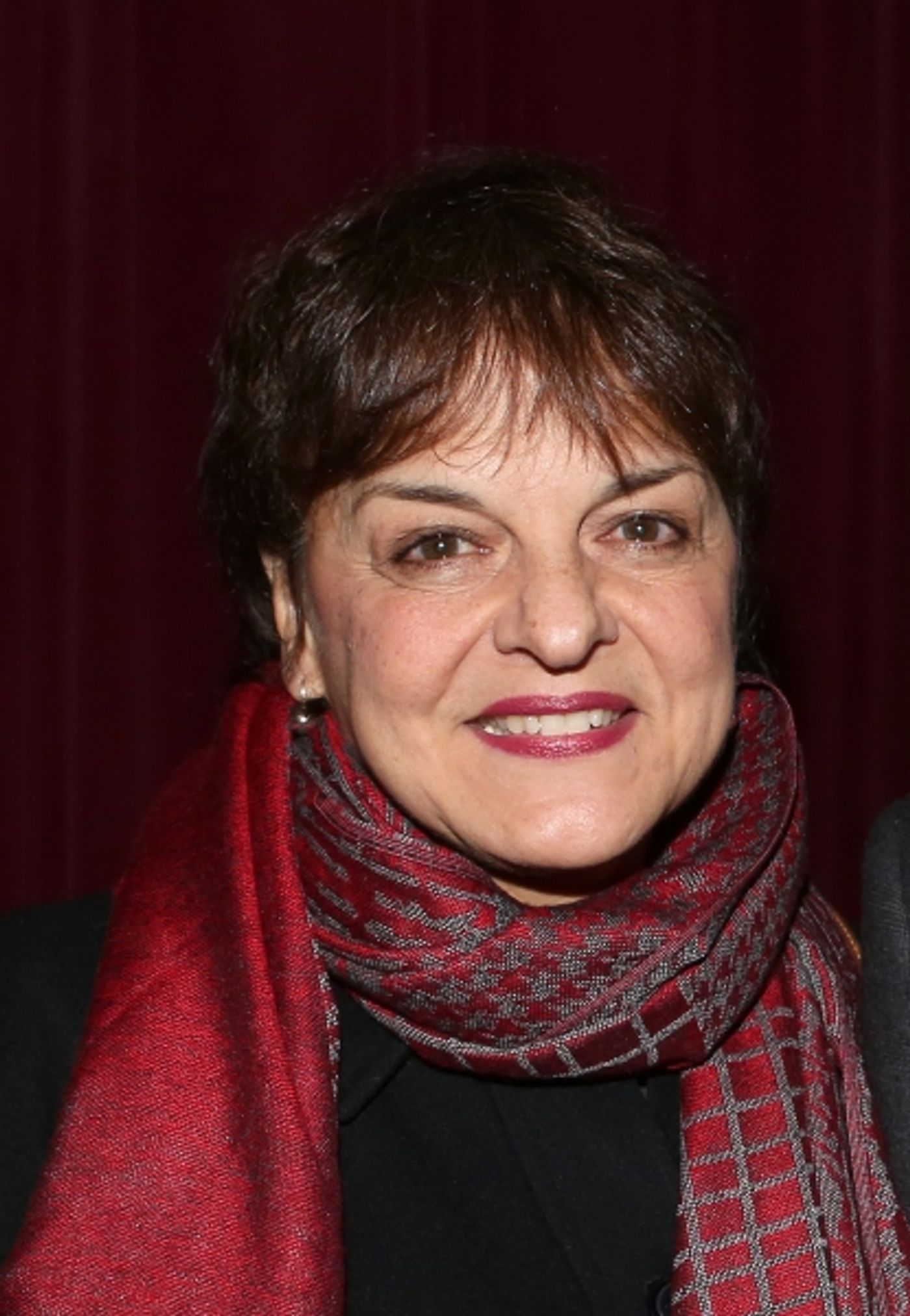 Photo Coverage: Tina Fey, Brian d'Arcy James & More Donate to BC/EFA at DISASTER! Opening  Image