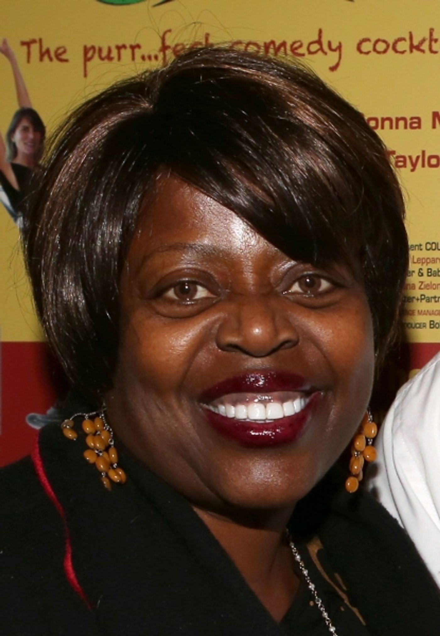 Photo Coverage: Tina Fey, Brian d'Arcy James & More Donate to BC/EFA at DISASTER! Opening  Image