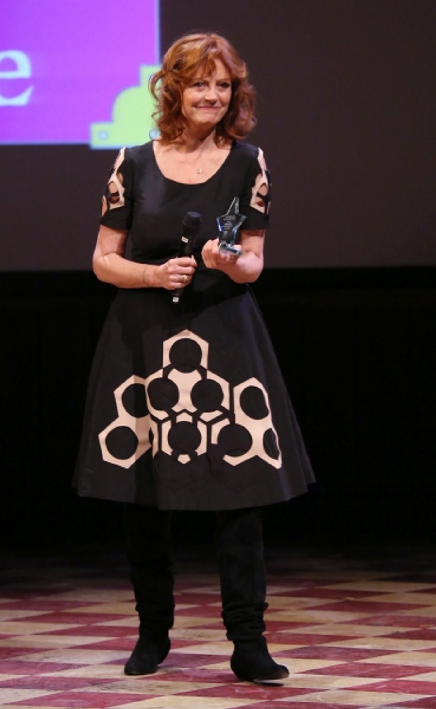 Photo Coverage: Susan Sarandon Honored at Only Make Believe Gala  Image