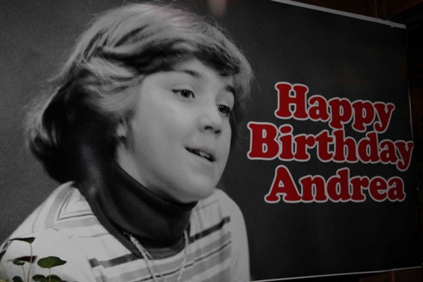 Photo Flash: Faith Prince, Tommy Tune and More at Andrea McArdle's 50th Birthday Celebration  Image