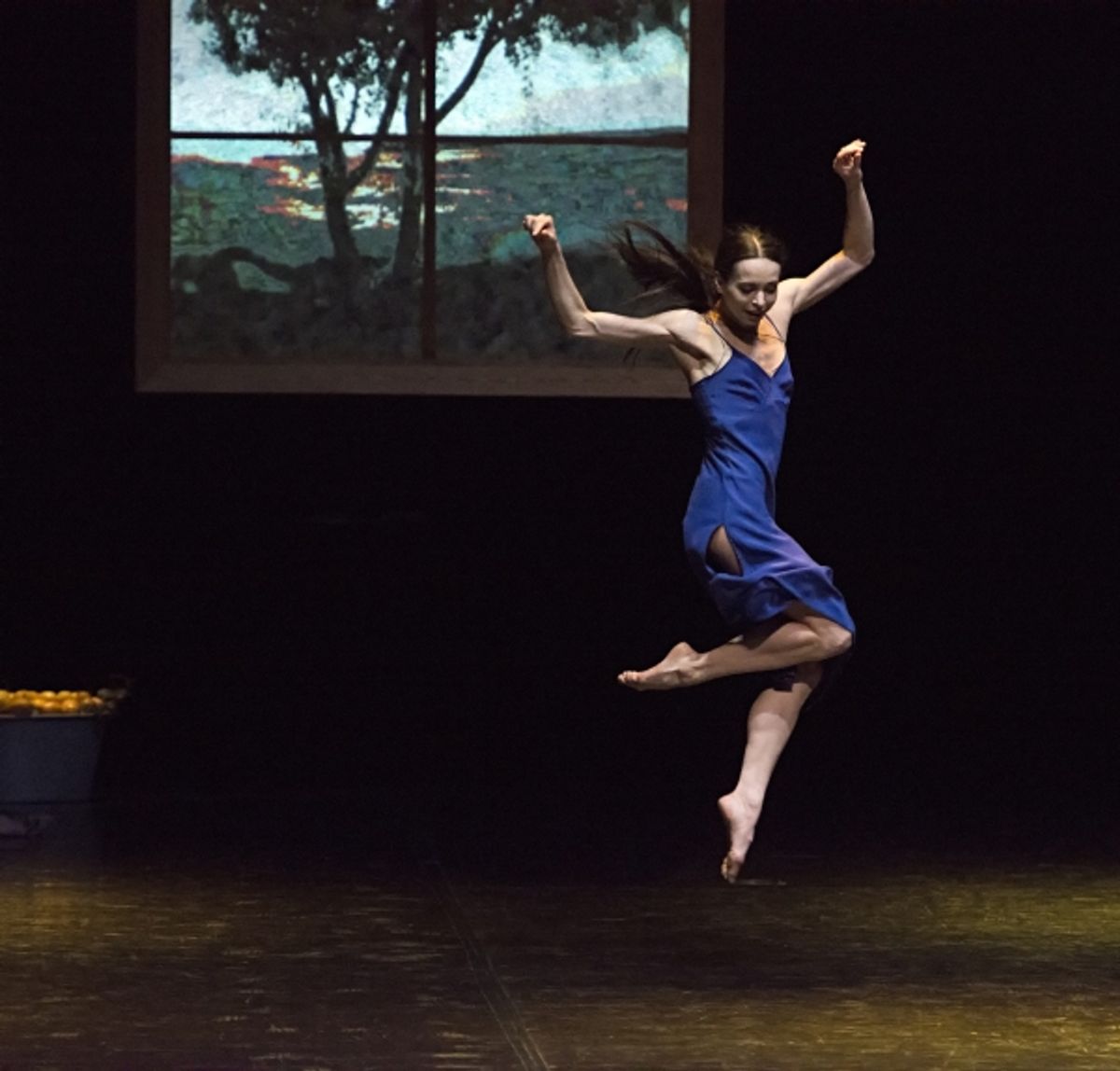 Diana Vishneva in ''Woman in a Room'' at 