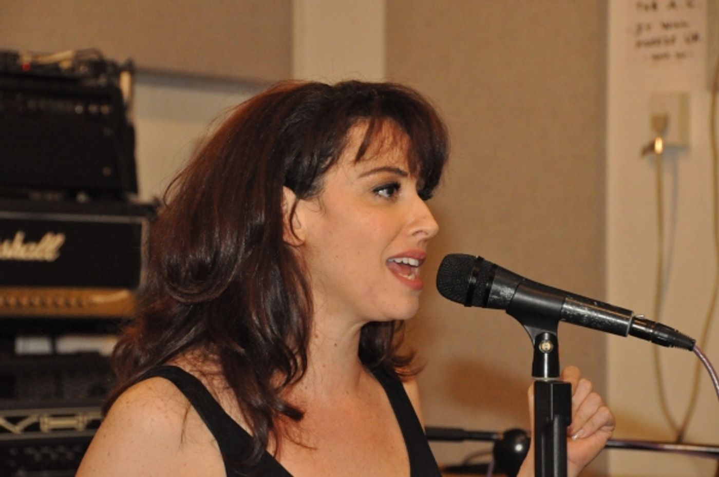 Photo Coverage: Constantine Maroulis, Emma Hunton, Michael Cerveris and More in Rehearsals for ROCKERS ON BROADWAY  Image