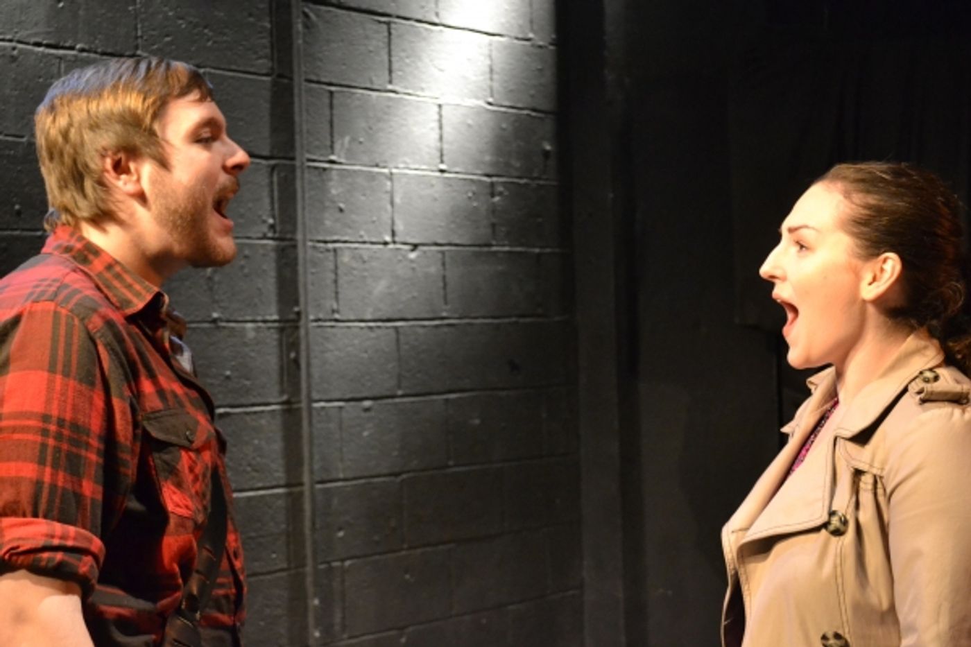 Photo Flash: First Look at Beautiful Soup Theater's LIFT Image