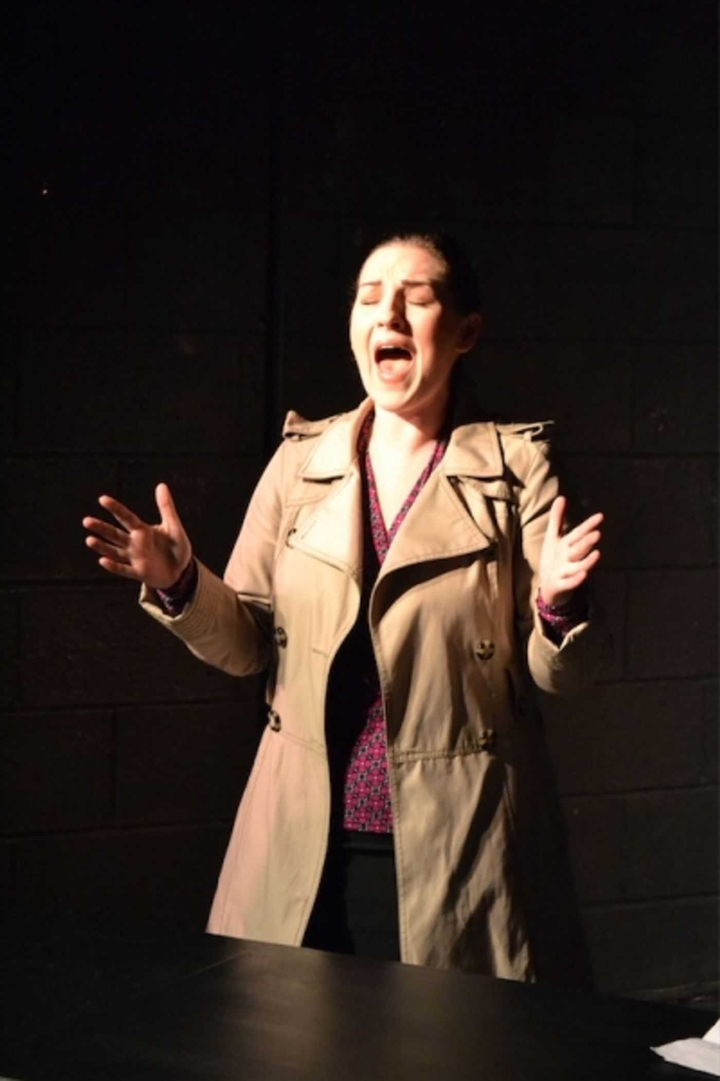 Photo Flash: First Look at Beautiful Soup Theater's LIFT Image