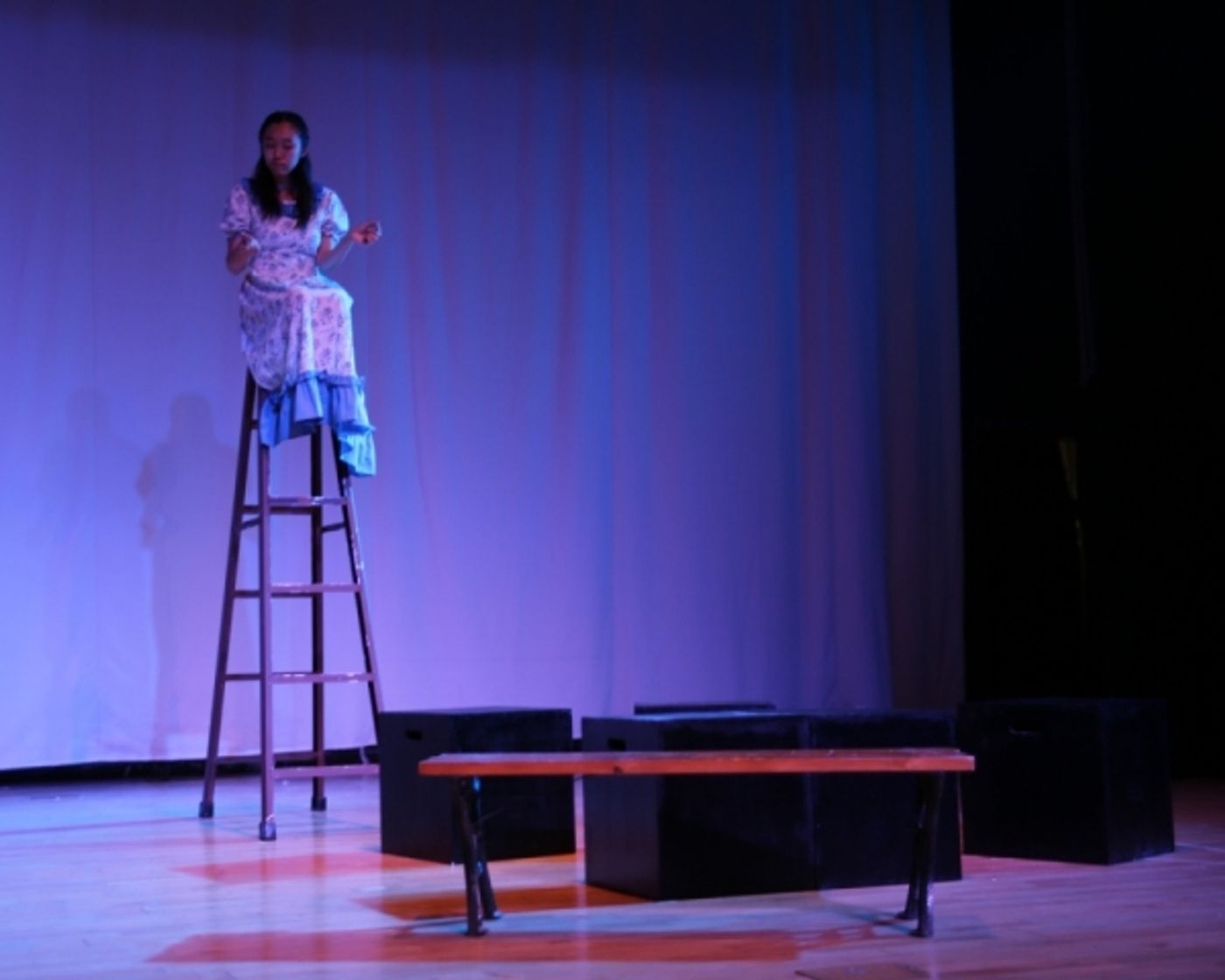 Photo Flash: First Look at Charity Readers Theatre's OUR TOWN Image