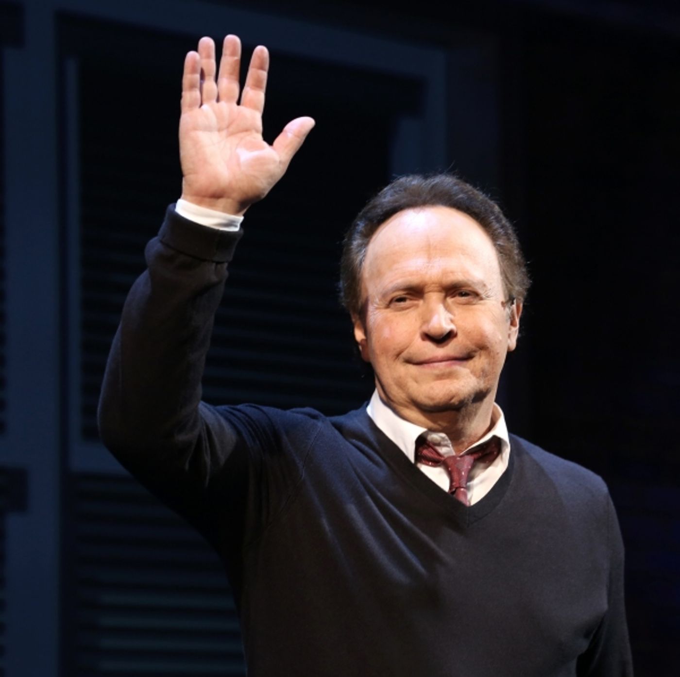 Photo Coverage: Billy Crystal Returns to Broadway in 700 SUNDAYS; Inside Opening Night Curtain Call! Image