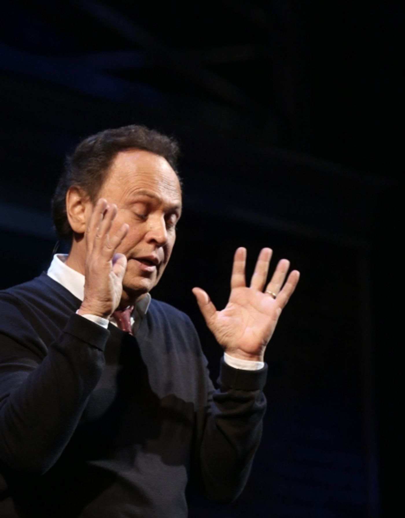 Photo Coverage: Billy Crystal Returns to Broadway in 700 SUNDAYS; Inside Opening Night Curtain Call! Image