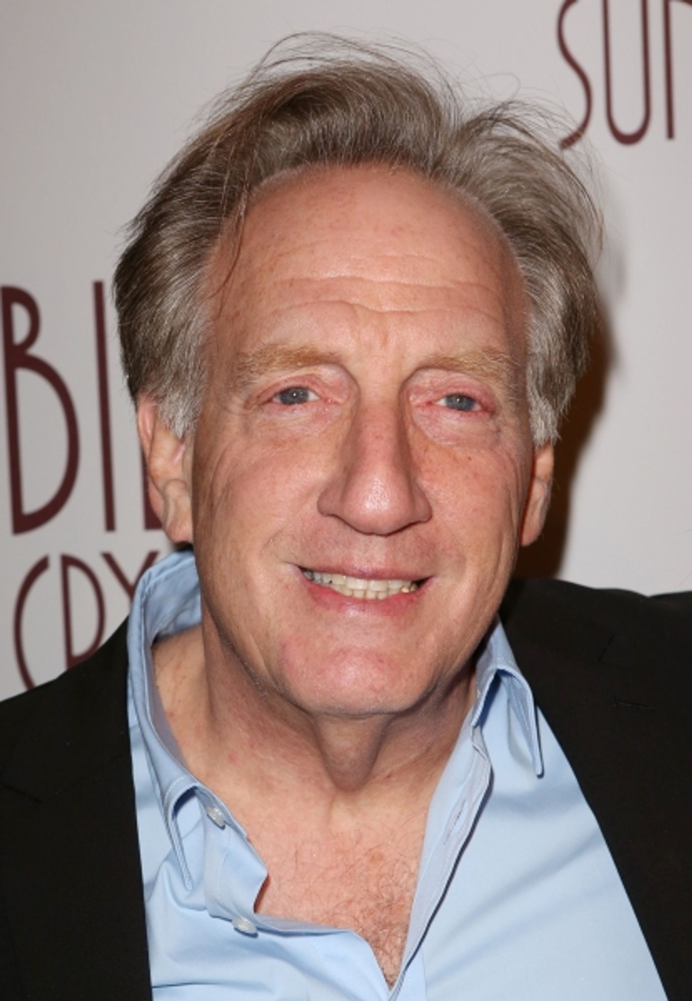 Photo Coverage: Inside Theatre Arrivals at 700 SUNDAYS Opening with Jimmy Fallon, Bette Midler & More!  Image