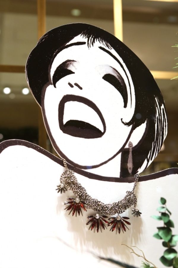  Liza Minnelli  Photo