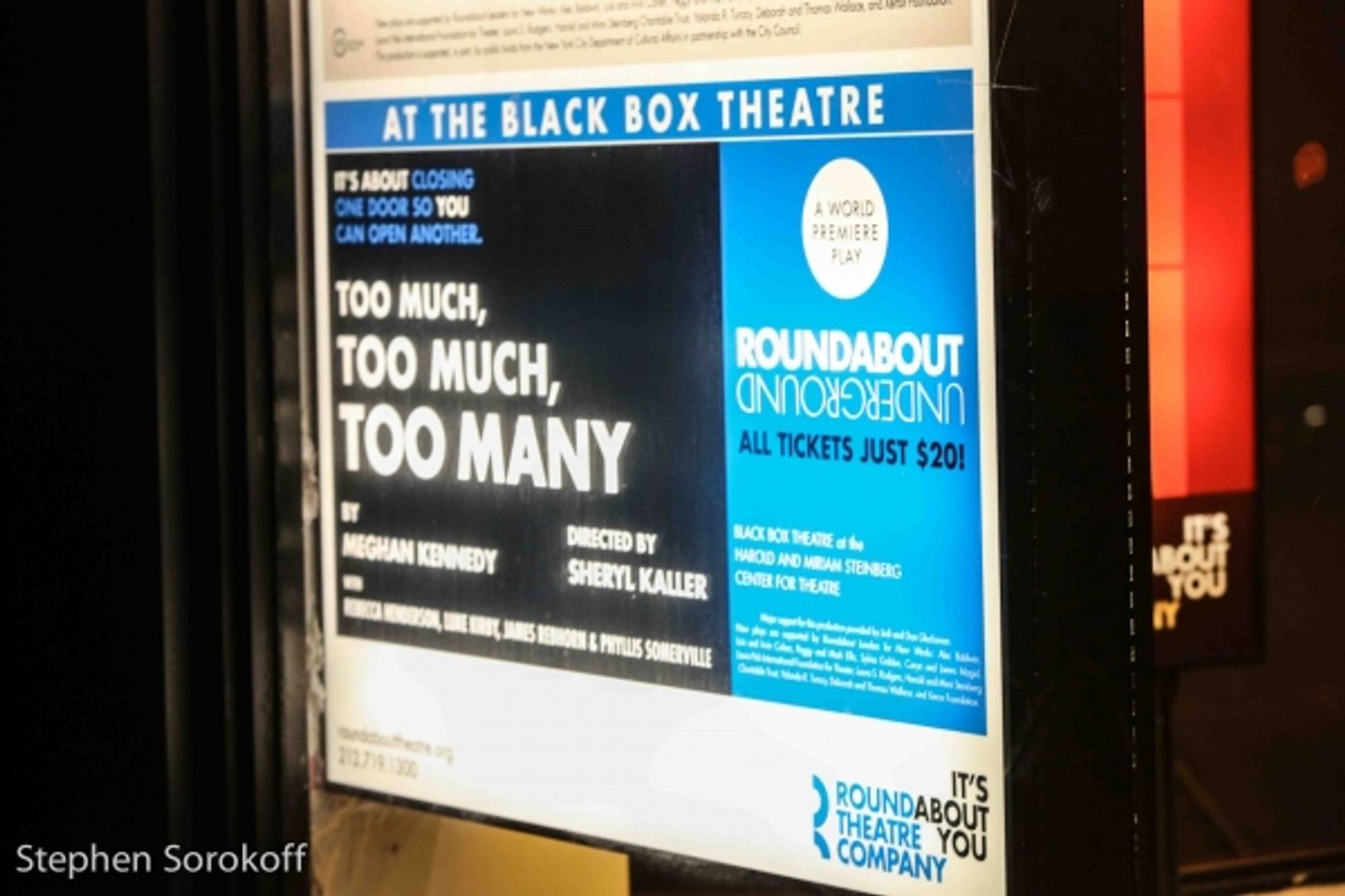 Photo Coverage: Inside Opening Night of Roundabout's TOO MUCH, TOO MUCH, TOO MANY  Image
