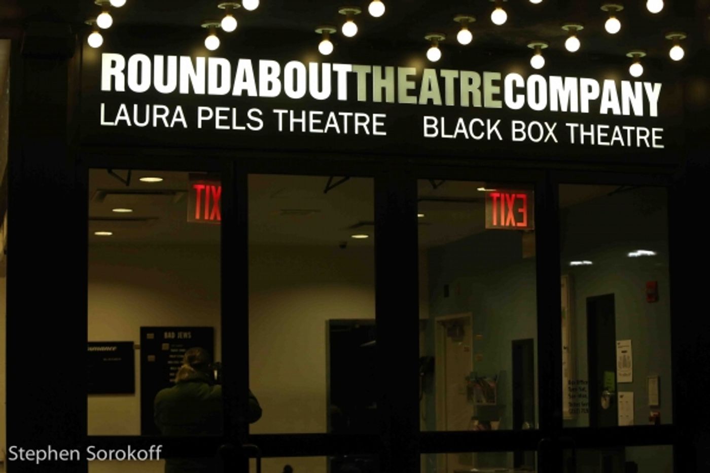 Photo Coverage: Inside Opening Night of Roundabout's TOO MUCH, TOO MUCH, TOO MANY  Image