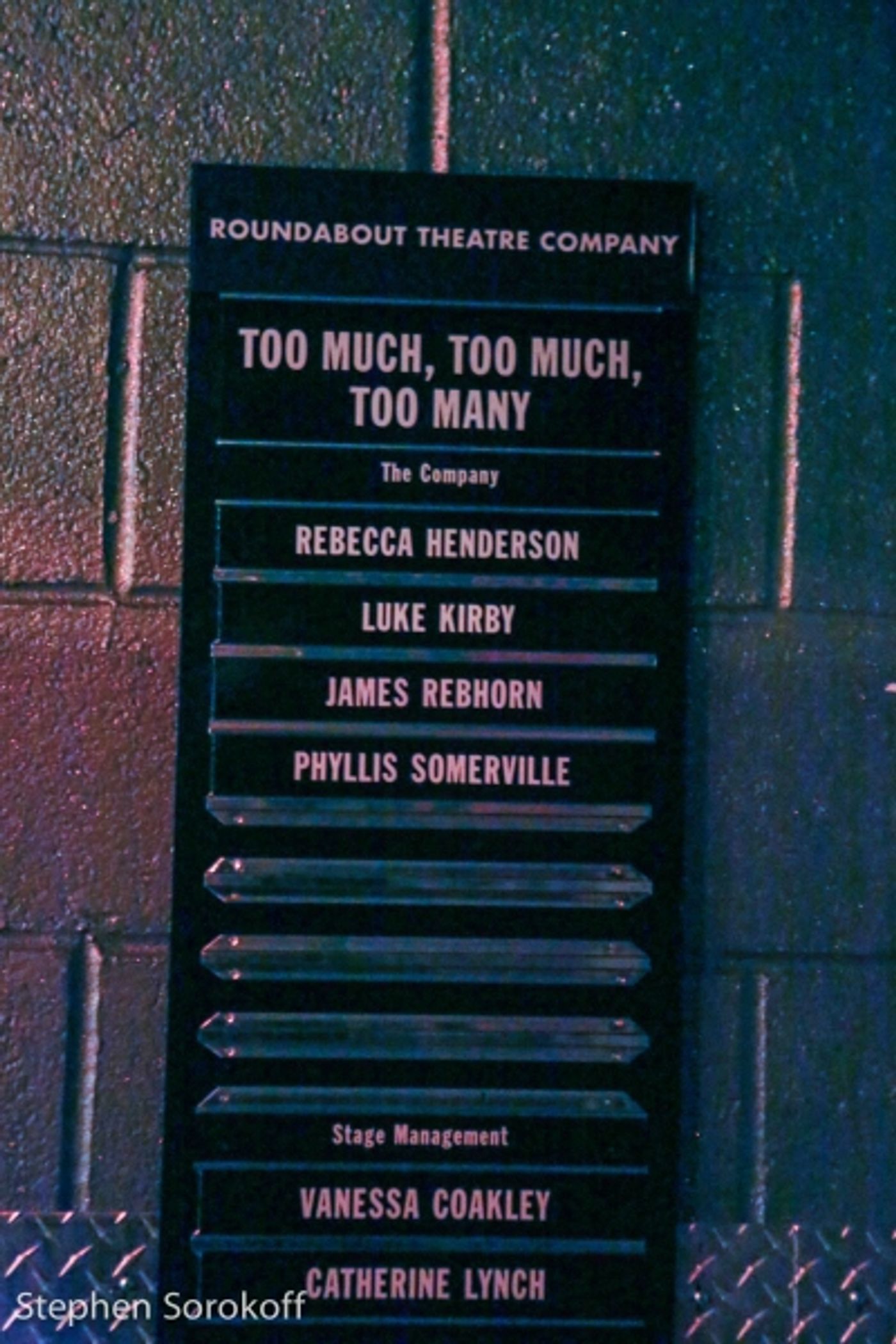 Photo Coverage: Inside Opening Night of Roundabout's TOO MUCH, TOO MUCH, TOO MANY  Image