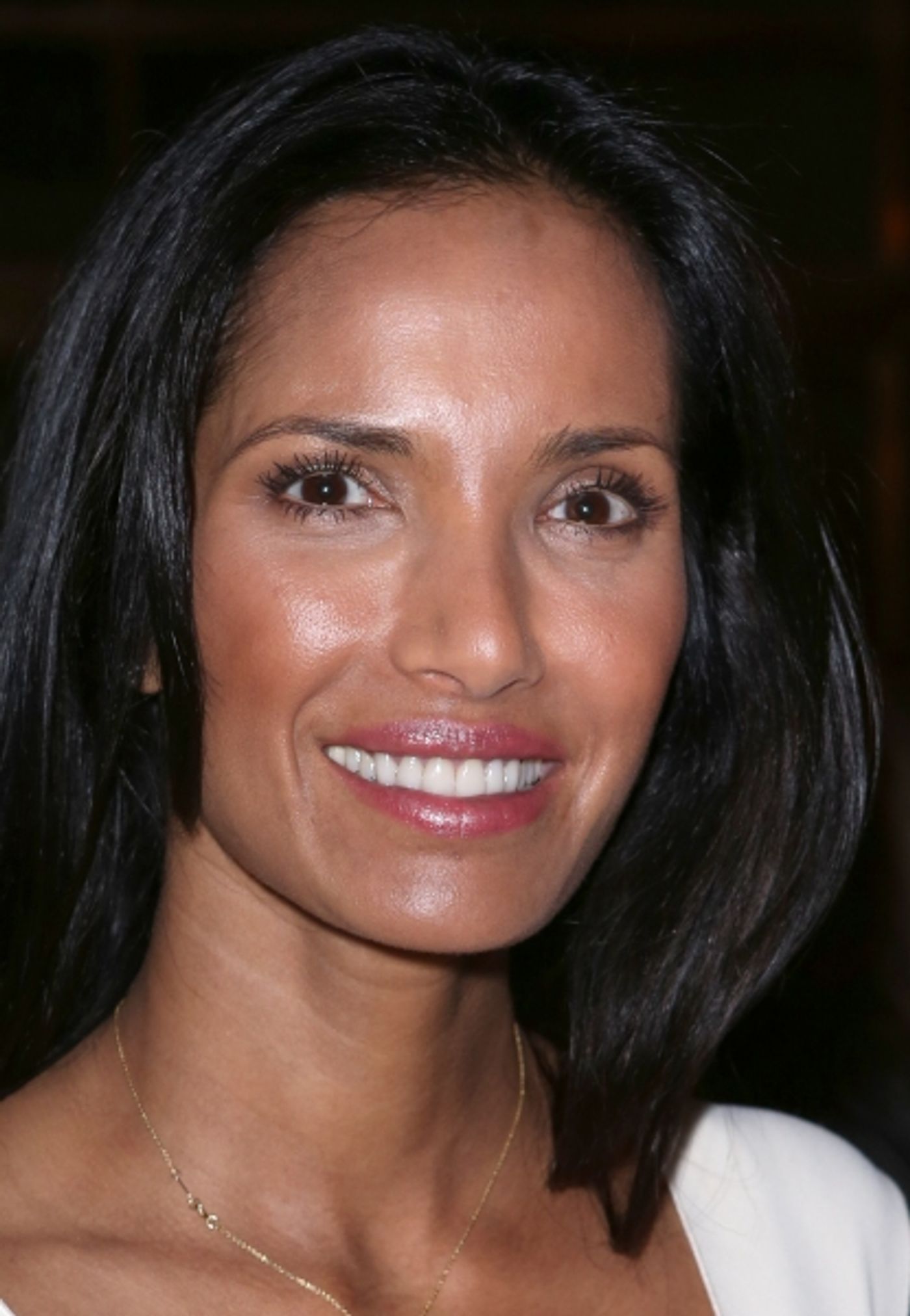 Photo Coverage: Cyndi Lauper, Nina Arianda & More Attend Citymeals 27th Annual Power Lunch for Women  Image