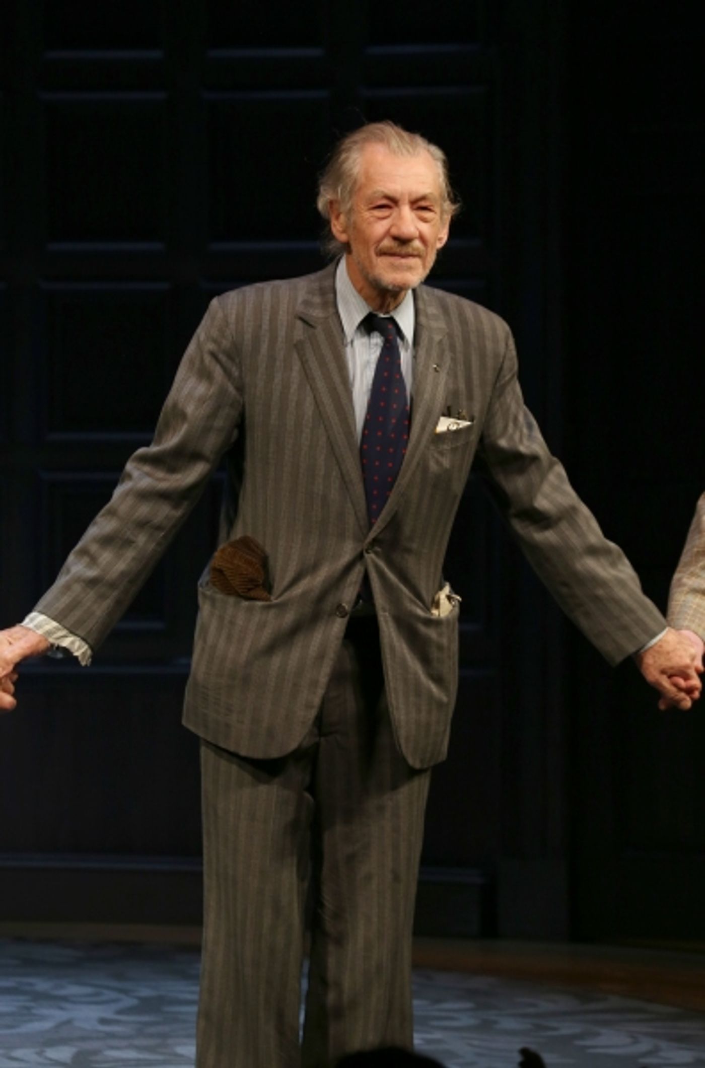 Photo Coverage: Ian McKellen, Patrick Stewart & More Take First Official Bow in NO MAN'S LAND  Image