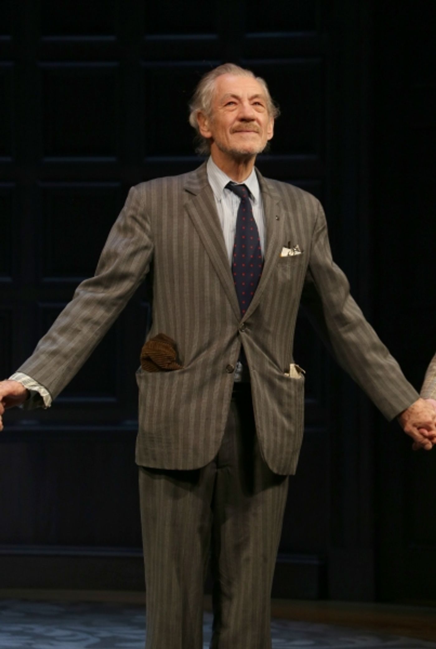 Photo Coverage: Ian McKellen, Patrick Stewart & More Take First Official Bow in NO MAN'S LAND  Image