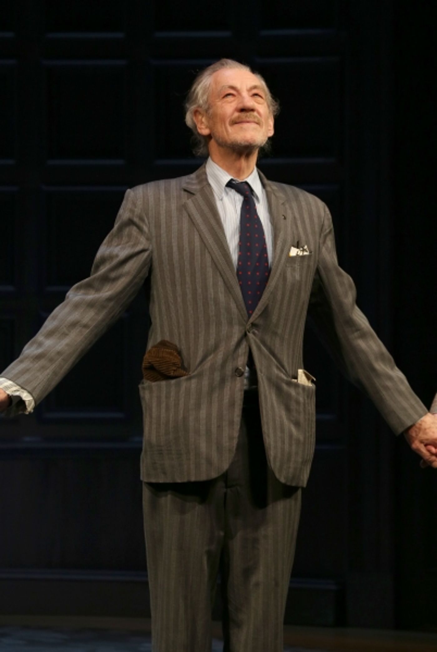Photo Coverage: Ian McKellen, Patrick Stewart & More Take First Official Bow in NO MAN'S LAND  Image