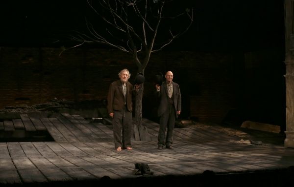 Ian McKellen and Patrick Stewart  Photo