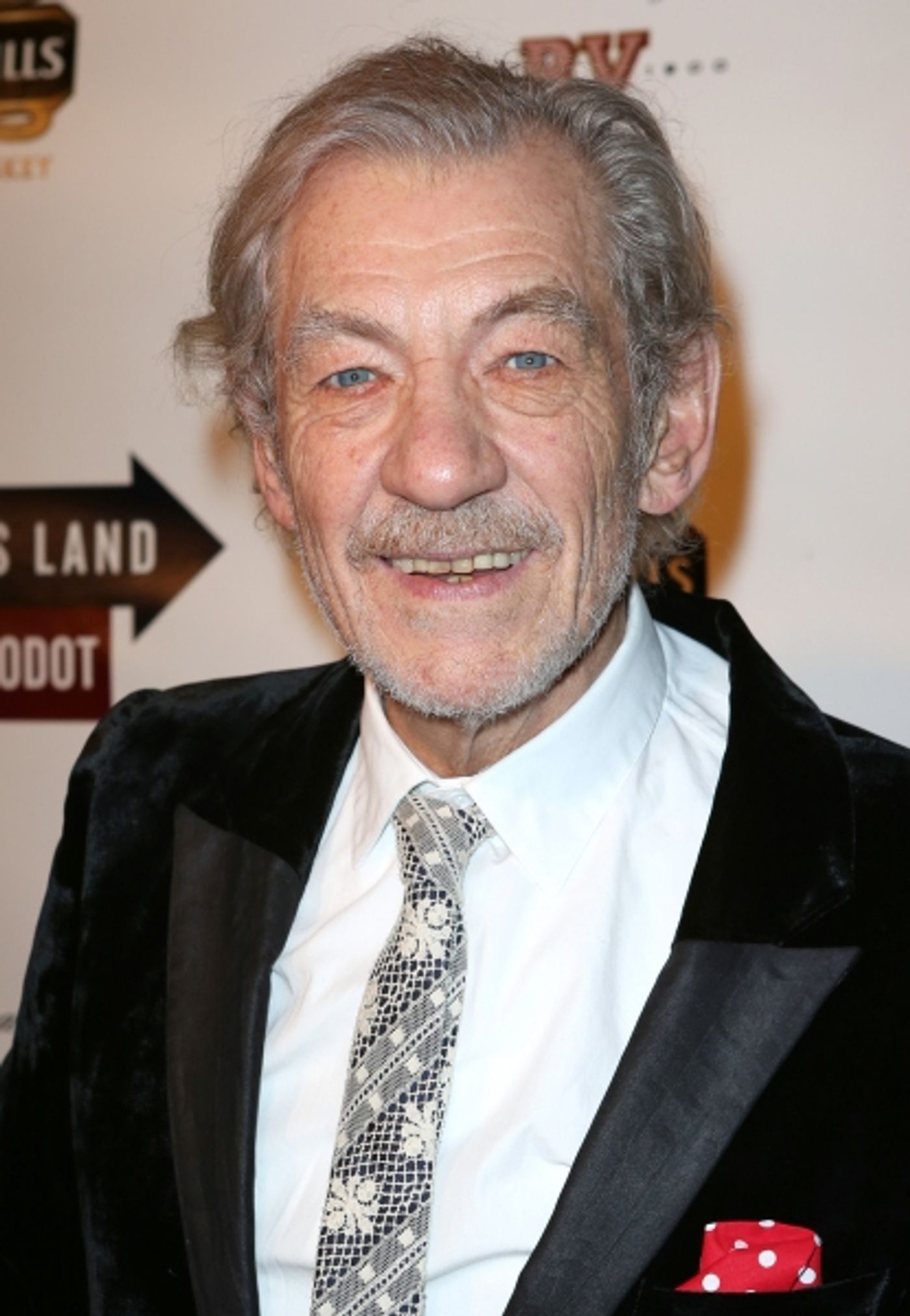 Photo Coverage: WAITING FOR GODOT & NO MAN'S LAND's Patrick Stewart, Ian McKellen & More Celebrate Opening Night!  Image