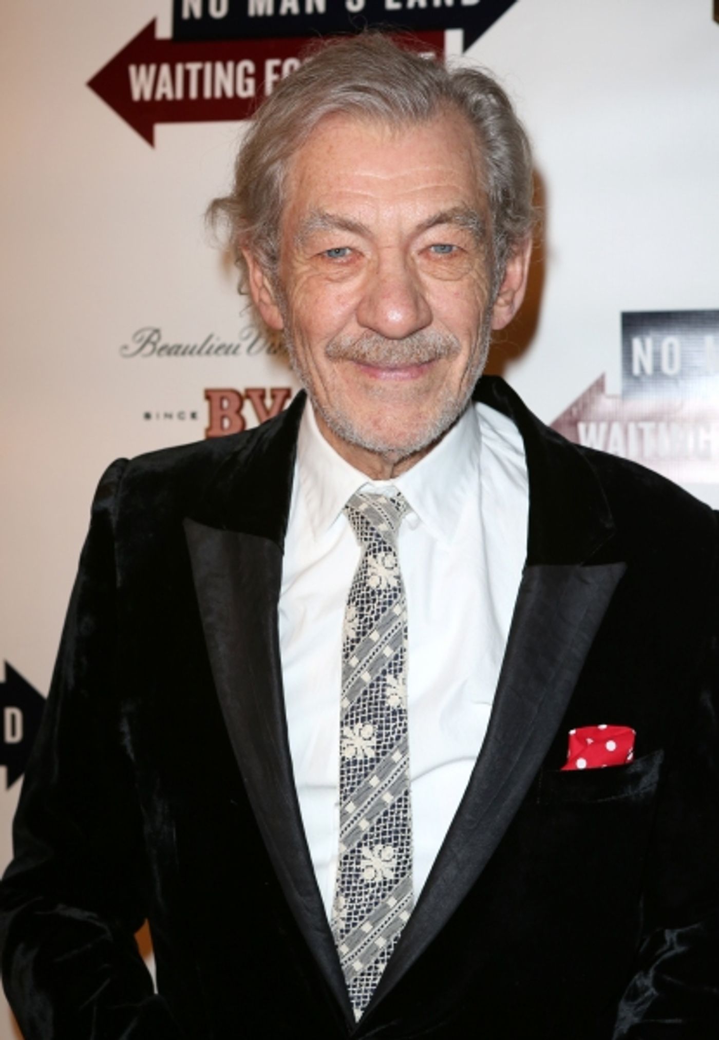 Photo Coverage: WAITING FOR GODOT & NO MAN'S LAND's Patrick Stewart, Ian McKellen & More Celebrate Opening Night!  Image