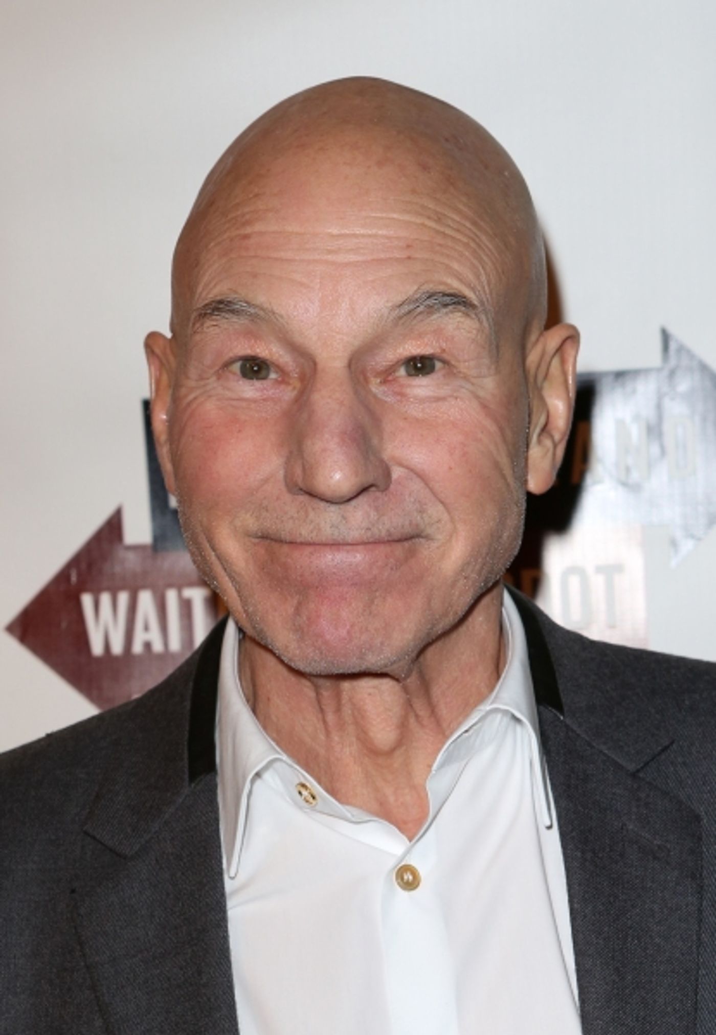 Photo Coverage: WAITING FOR GODOT & NO MAN'S LAND's Patrick Stewart, Ian McKellen & More Celebrate Opening Night!  Image