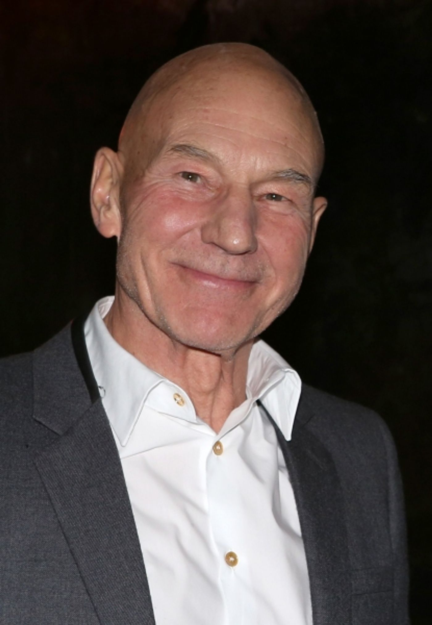 Photo Coverage: WAITING FOR GODOT & NO MAN'S LAND's Patrick Stewart, Ian McKellen & More Celebrate Opening Night!  Image